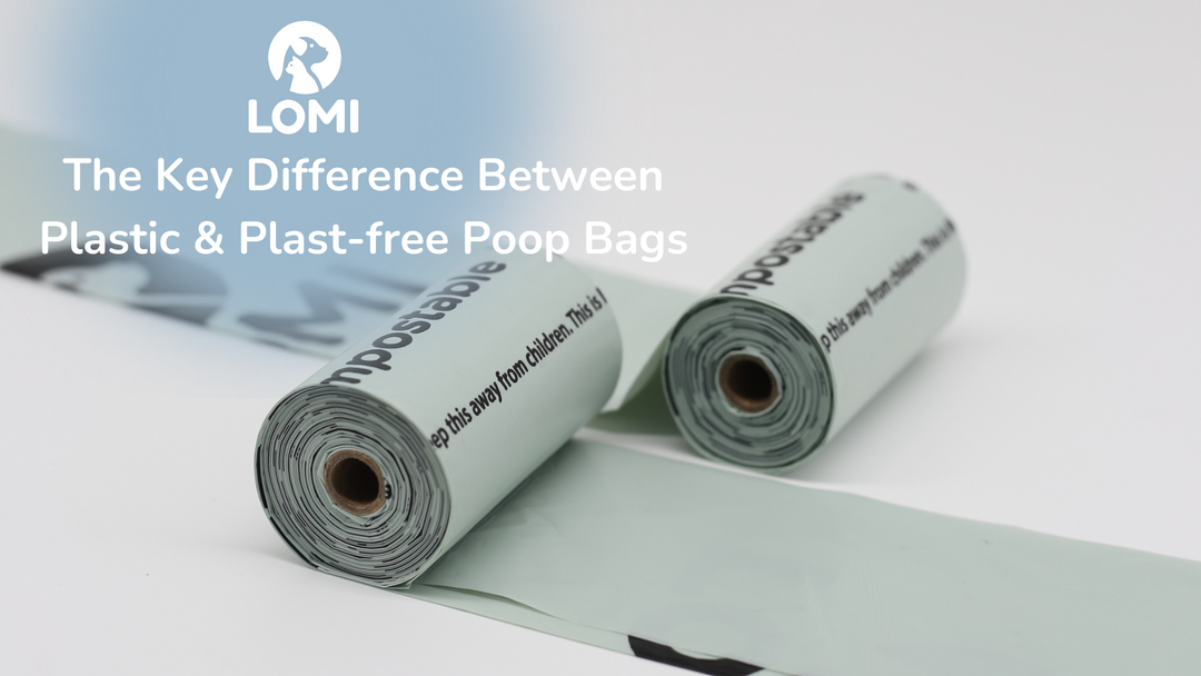 Plast, Återvunnen Plast eller Komposterbara Bajspåsar av Majsstärkelse – Vad Är Bäst för Din Hund (och Planeten)?