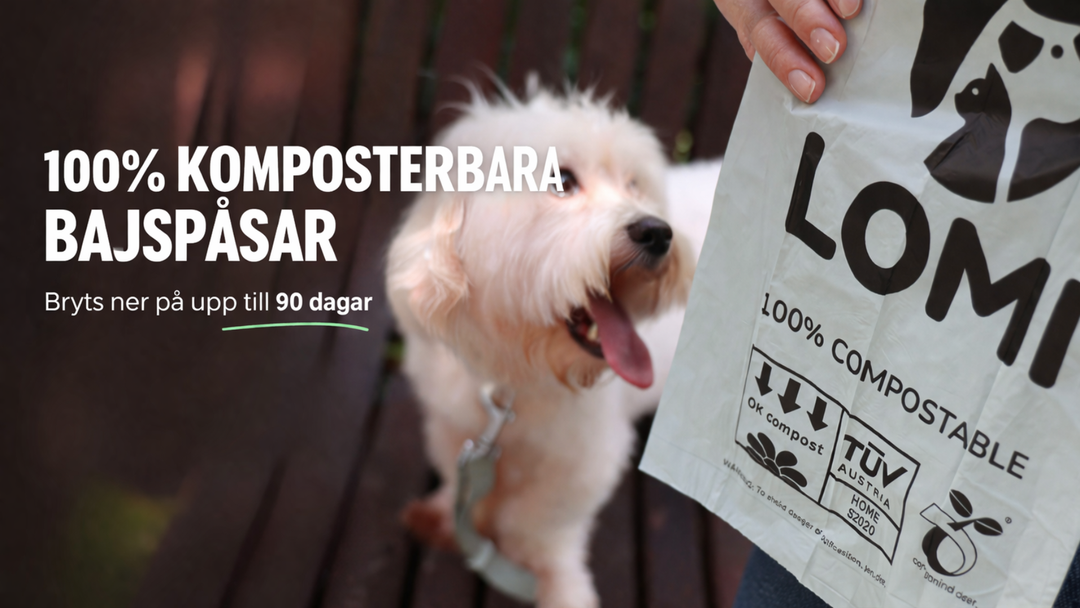 Komposterbara bajspåsar för hund – fungerar de verkligen? (Guide 2026)