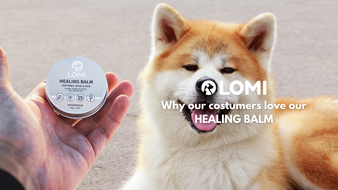 🐾💛 Hör vad våra kunder har att säga om vårt Healing Balm!
