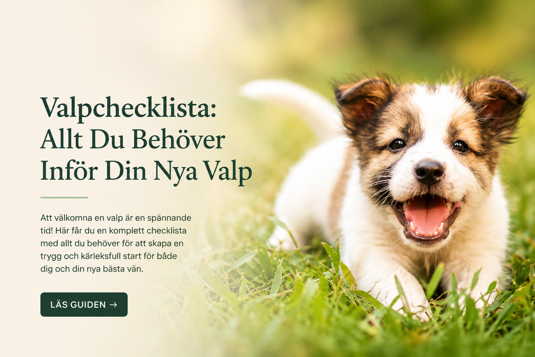 Valpchecklista: Allt Du Behöver Inför Din Nya Valp