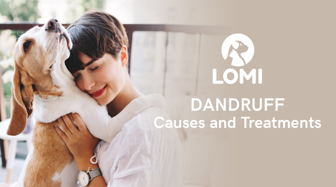 DANDRUFF in Pets, Causes and Treatments