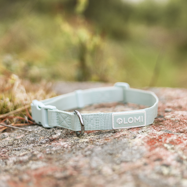 EcoComfort dog collar