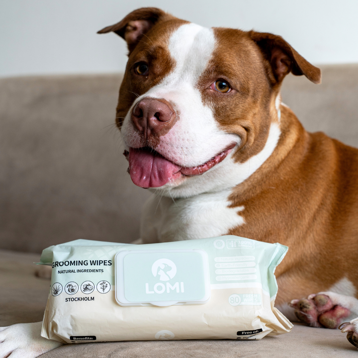 Aloe Vera & Chamomile wet wipes for Dogs & Cats 