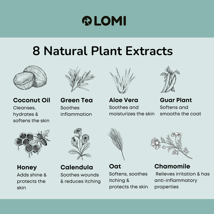 Gentle natural oat-based dog shampoo & conditioner