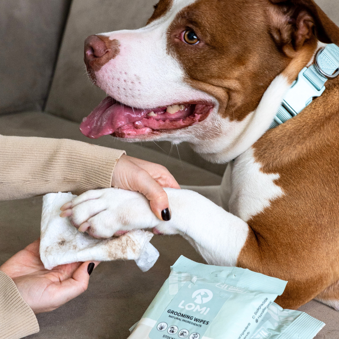 Aloe Vera & Chamomile wet wipes for Dogs & Cats 