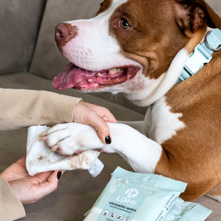 Aloe Vera & Chamomile wet wipes for Dogs & Cats 