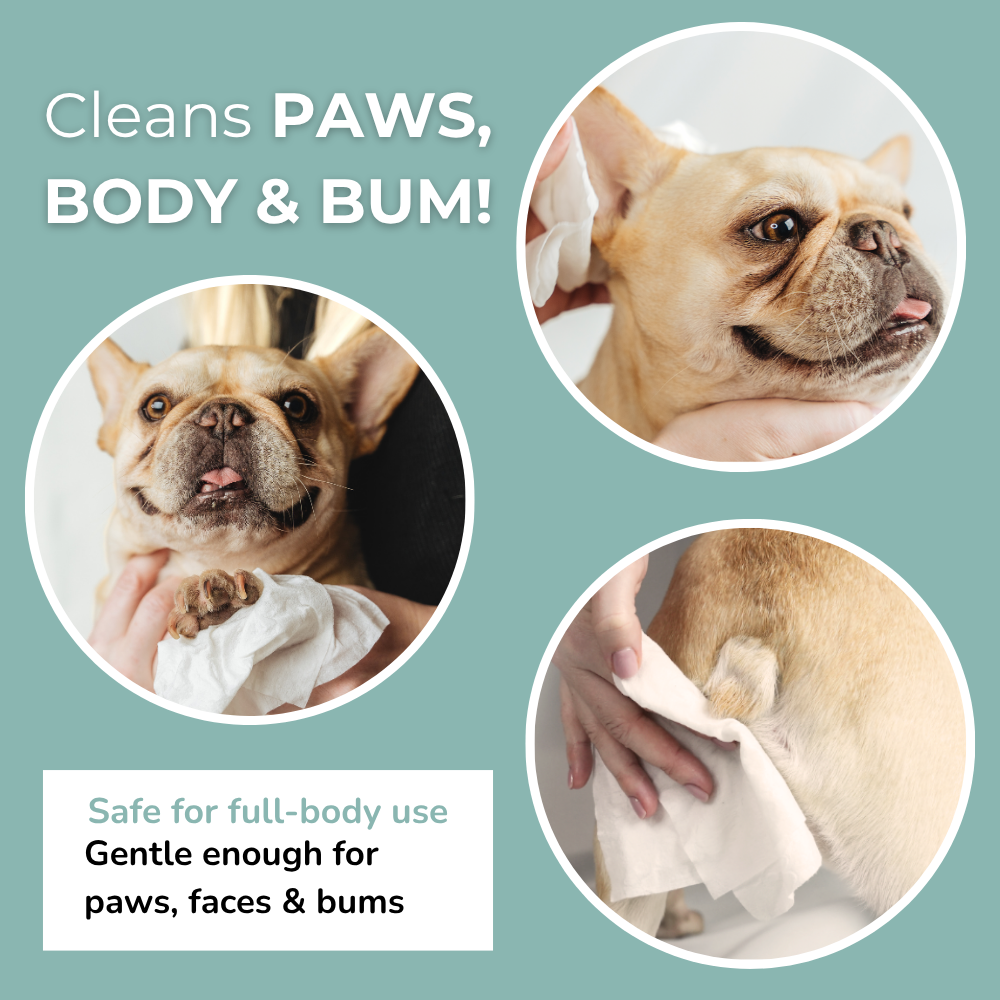 Aloe Vera & Chamomile wet wipes for Dogs & Cats 