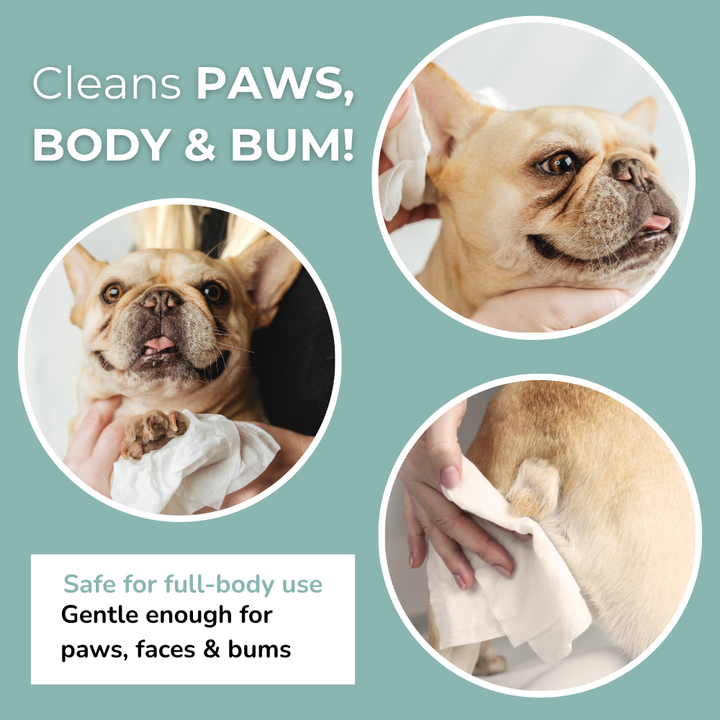 Aloe Vera & Chamomile wet wipes for Dogs & Cats 