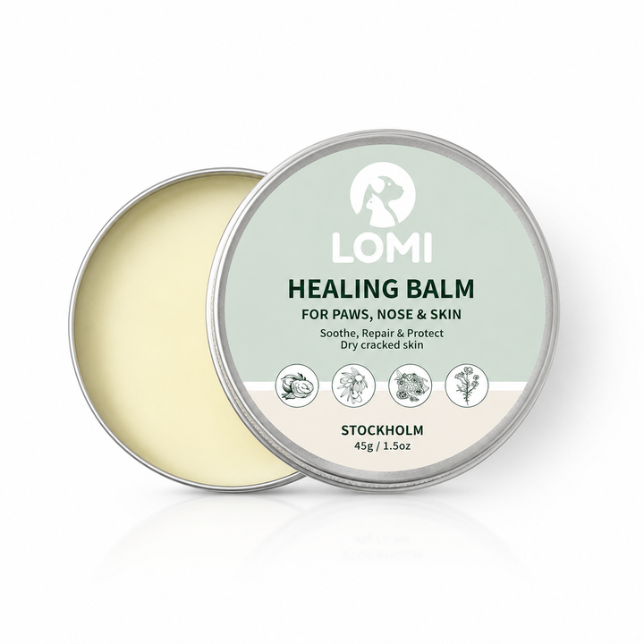 Tassalva för Hund & Katt – Healing Balm för Torra Tassar & Nos | LOMI