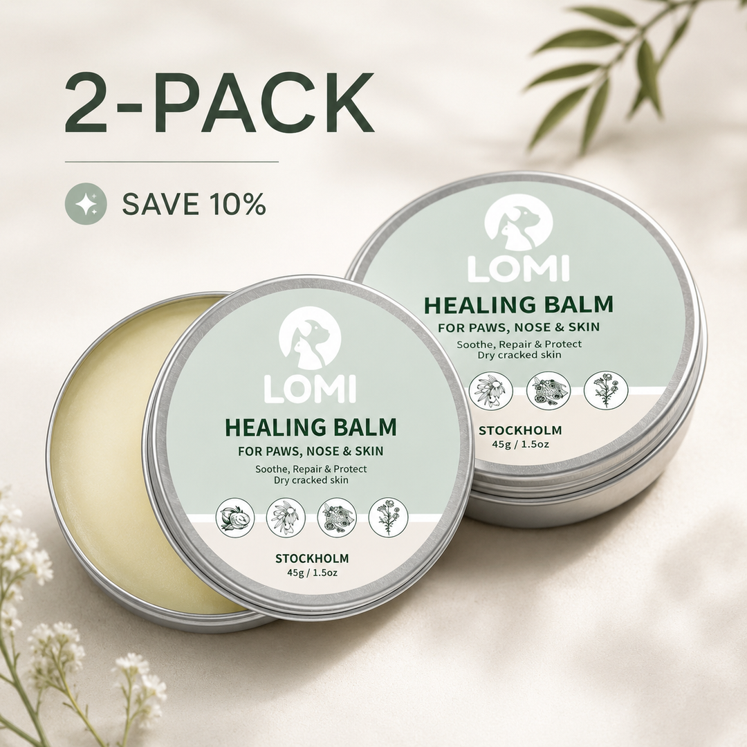 Tassalva för Hund & Katt – Healing Balm för Torra Tassar & Nos | LOMI
