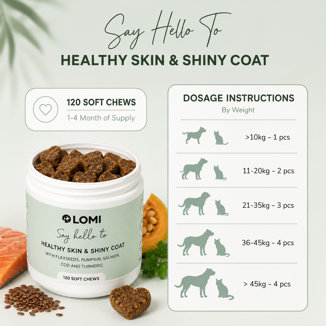 Vitamingodis för hund – Omega 3 & 6 för hud & päls