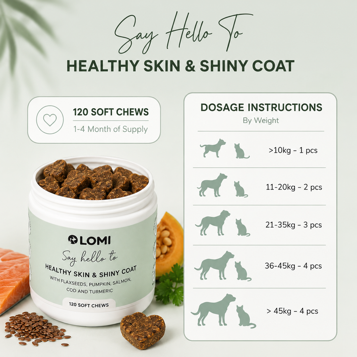 Vitamingodis för hund – Omega 3 & 6 för hud & päls