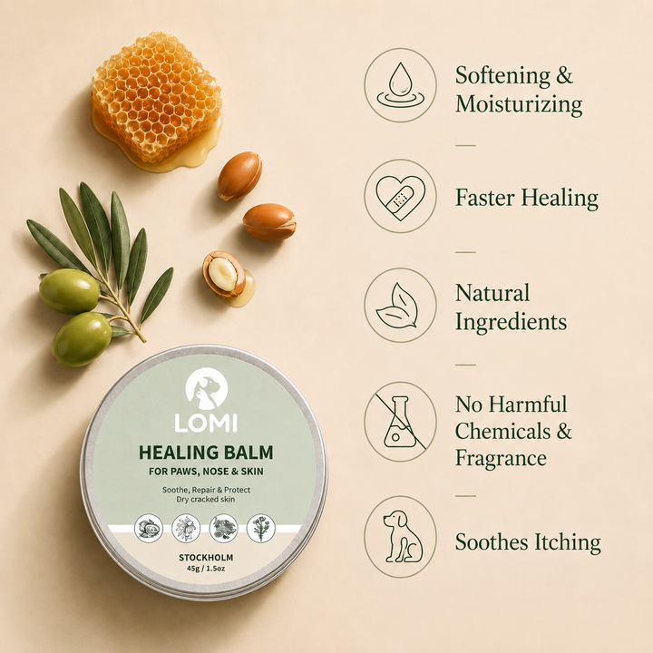 Tassalva för Hund & Katt – Healing Balm för Torra Tassar & Nos | LOMI