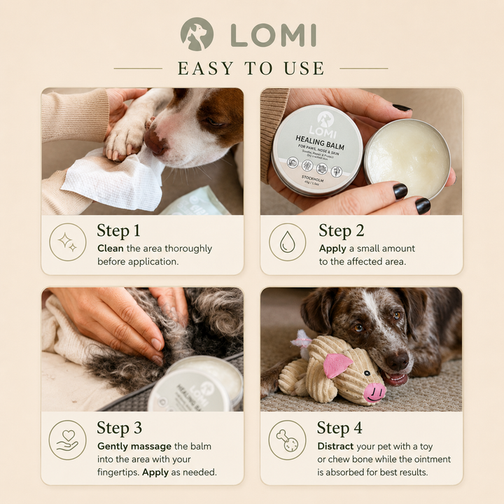 Tassalva för Hund & Katt – Healing Balm för Torra Tassar & Nos | LOMI