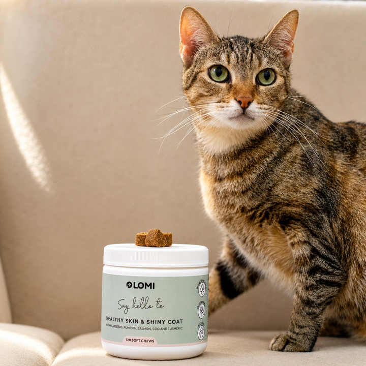 Vitamingodis för hund – Omega 3 & 6 för hud & päls