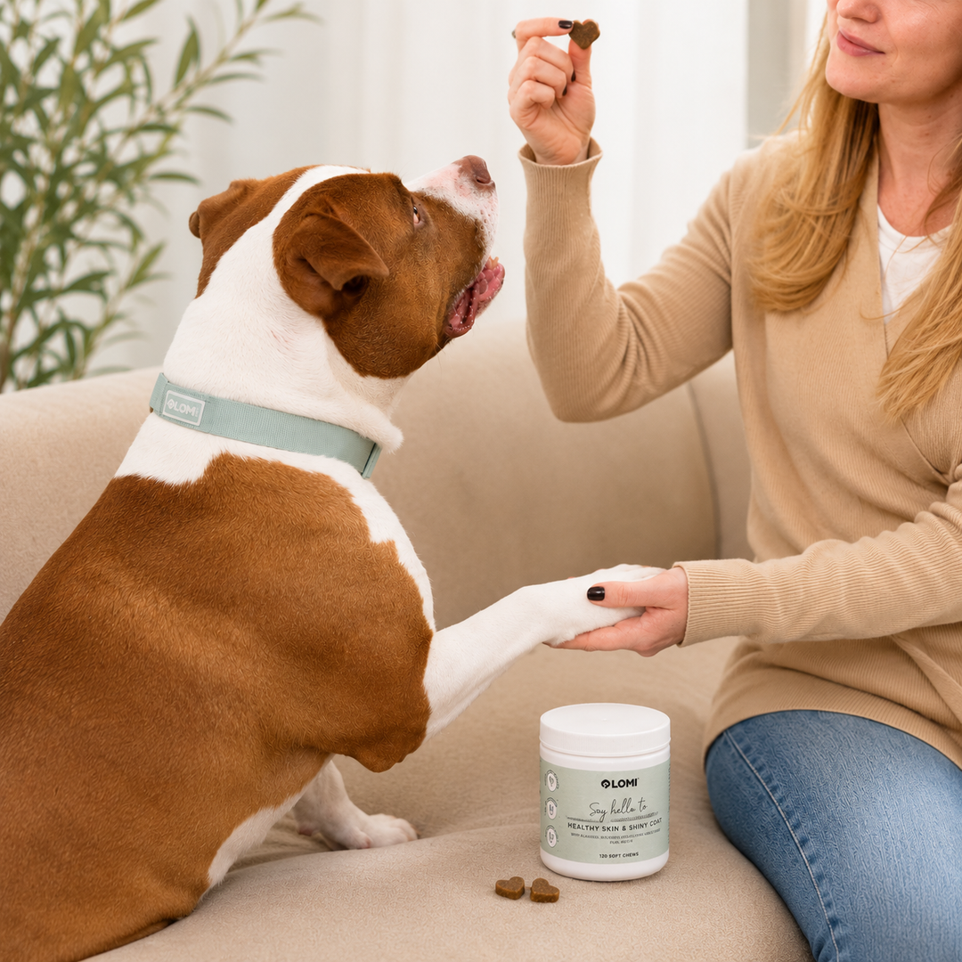 Vitamingodis för hund – Omega 3 & 6 för hud & päls