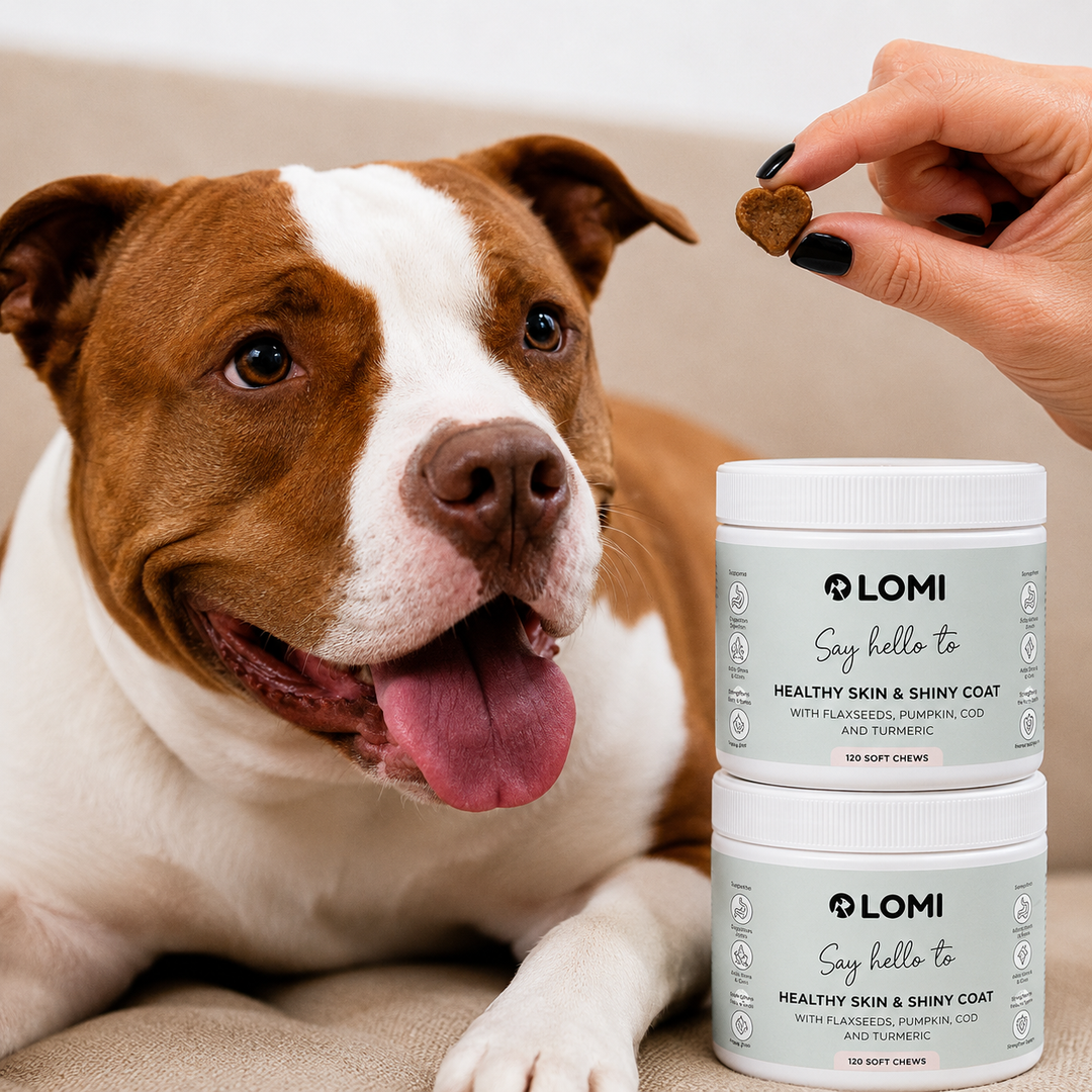 Vitamingodis för hund – Omega 3 & 6 för hud & päls