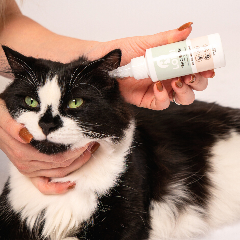 Lomi Icon Products – LOMI Petcare