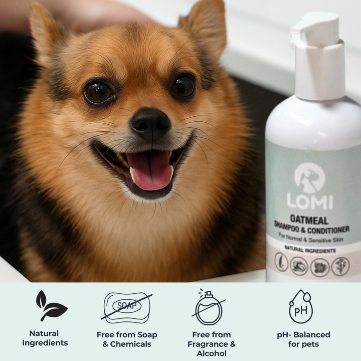 Gentle natural oat-based dog shampoo & conditioner