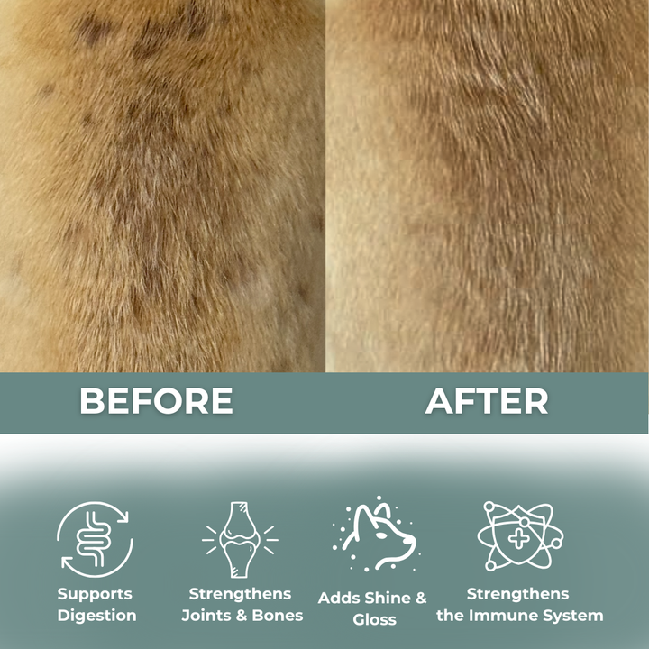 Functional Treats - Skin & Coat formula