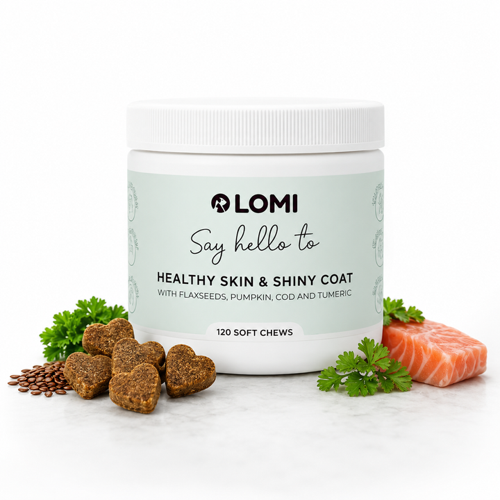 Vitamingodis för hund – Omega 3 & 6 för hud & päls